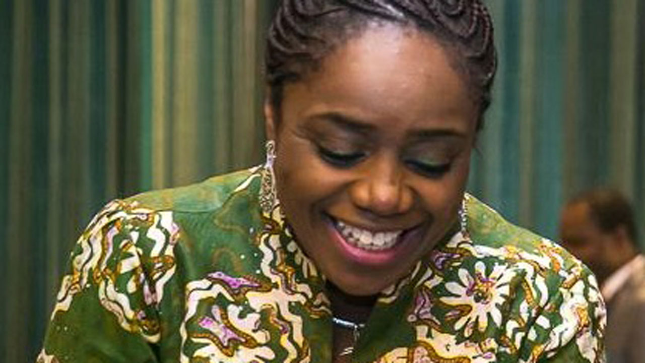 12 things Kemi Adeosun did before Christmas 2016